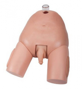 Male Bladder Puncture Simulator